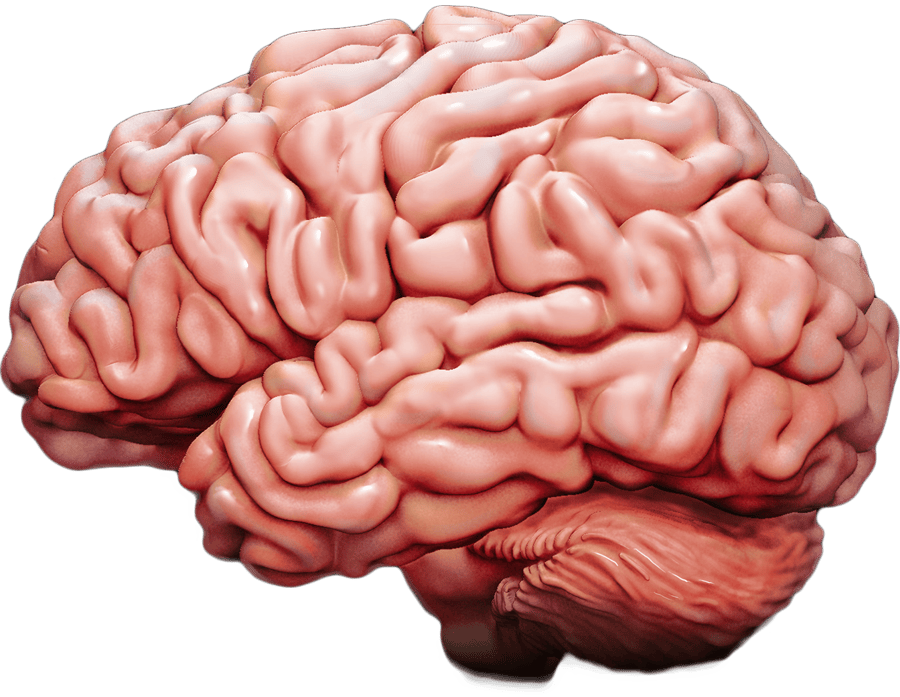 The Trick Your Brain Plays On You (And Why It Feels So&nbsp;Real)